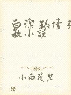 白洁 孙倩 张敏小说