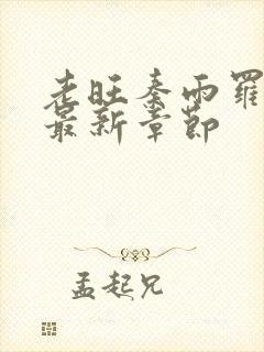 老旺秦雨罗老旺最新章节