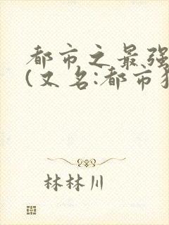 都市之最强狂兵(又名:都市狂枭) 在线小说