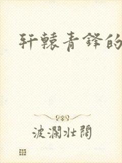 轩辕青锋的结局