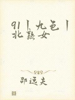 91丨九色丨东北熟女