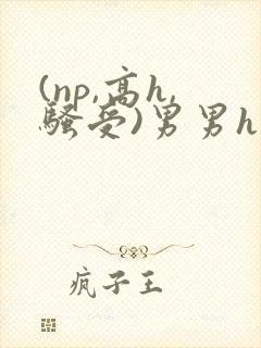 (np,高h,骚受)男男h