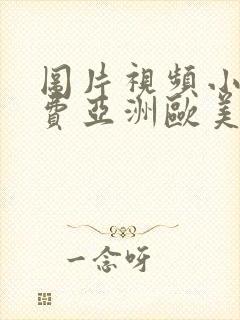 图片视频小说免费亚洲欧美