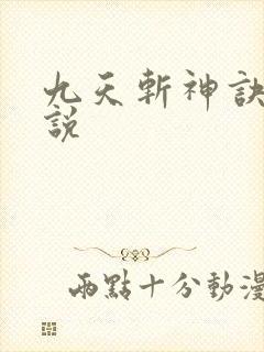 九天斩神诀 小说