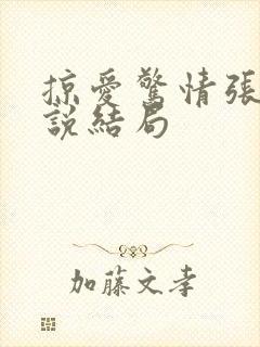 掠爱惊情张亮小说结局