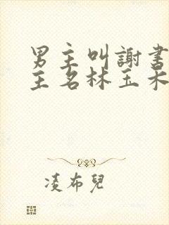 男主叫谢书淮女主名林玉禾的小说封面