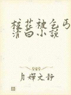 校花被乞丐毁了清白小说