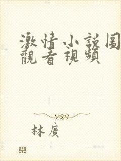 激情小说图在线观看视频