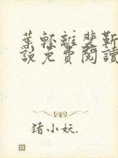 叶轻离裴靳墨小说免费阅读无弹窗