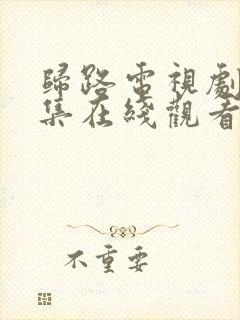 归路电视剧40集在线观看免费高清