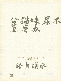 公猫咪尿不出尿怎么办封面