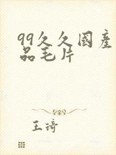 99久久国产精品毛片