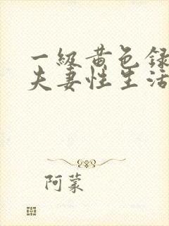 一级黄色录像,夫妻性生活