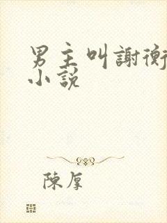 男主叫谢衡之的小说