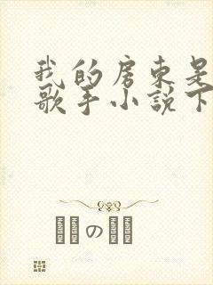 我的房东是偶像歌手小说下载txt