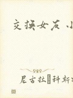 交换女友 小说封面