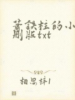 萧铁柱的小说未删版txt