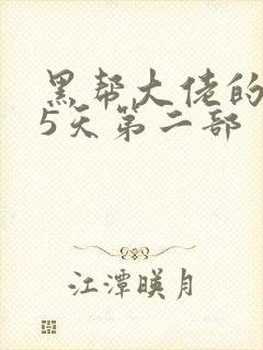 黑帮大佬的365天第二部