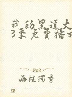 我的黑道大佬第3季免费播放在线观看