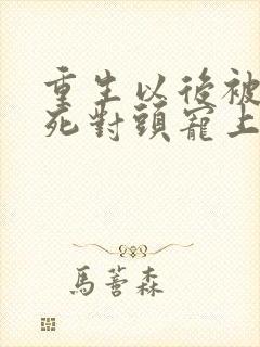 重生以后被渣男死对头宠上天