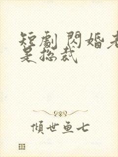 短剧 闪婚老公是总裁