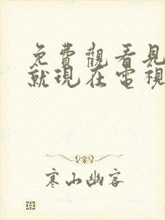 免费观看见面吧就现在电视剧