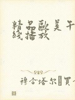 精品欧美午夜在线播放