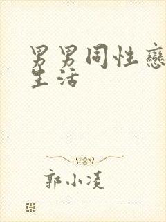 男男同性恋的性生活封面