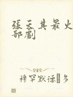 张天其最火的三部剧