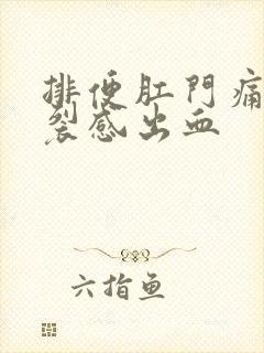 排便肛门痛有撕裂感出血