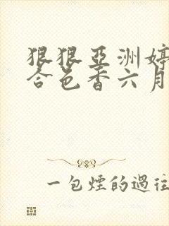 狠狠亚洲婷婷综合色香六月