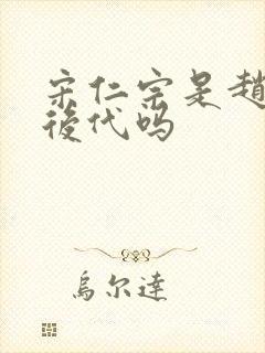 宋仁宗是赵匡胤后代吗