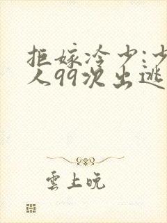 拒嫁冷少:少夫人99次出逃