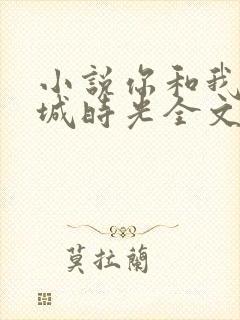 小说你和我的倾城时光全文免费阅读