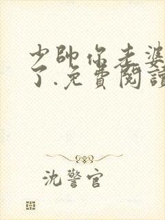 少帅你老婆又跑了.免费阅读