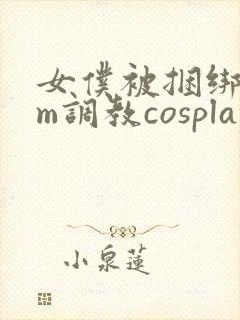 女仆被捆绑着sm调教cosplay封面