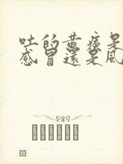 吐的黄痰是风热感冒还是风寒感冒