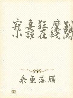 宠妻狂魔别太坏小说在线阅读