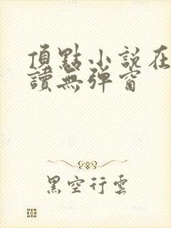 顶点小说在线阅读无弹窗