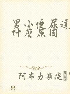 男小便尿道刺痛什么原因