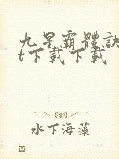 九星霸体诀txt下载下载封面