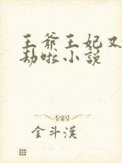 王爷王妃又去打劫啦小说