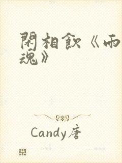 闲相饮《雨魄云魂》