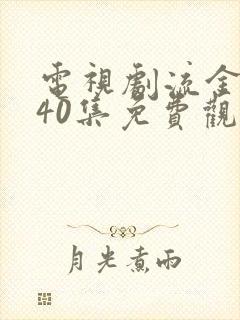 电视剧流金岁月40集免费观看