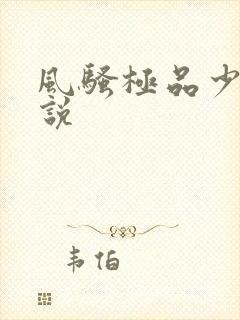 风骚极品少妇小说