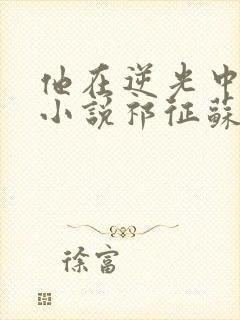 他在逆光中告白小说祁征苏韵