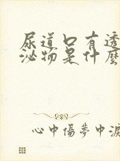 尿道口有透明分泌物是什么