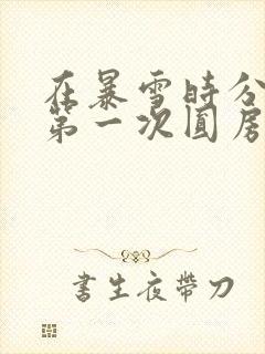 在暴雪时分小说第一次圆房是何时