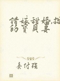 错嫁甜婚,总裁的宝贝妻