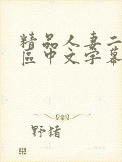 精品人妻二区三区中文字幕封面